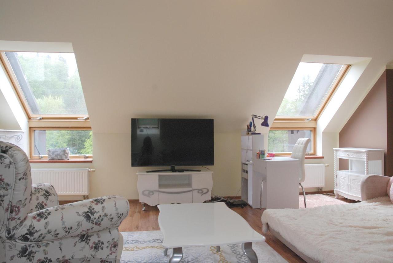 Apartment Vistula